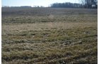 Property photo 10 - East Allen County - 55 Acre Land Auction